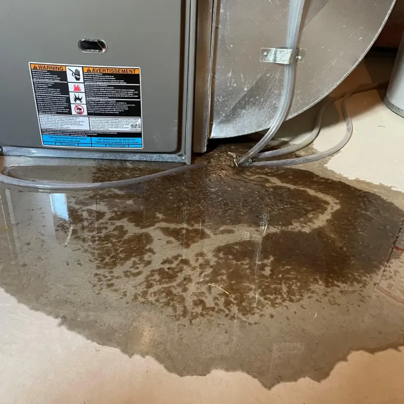 Appliance Leak Cleanup in Noblesville, IN